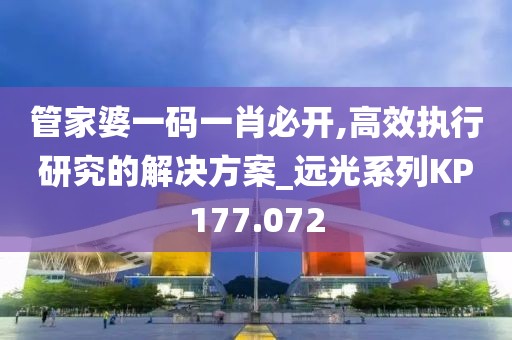 管家婆一码一肖必开,高效执行研究的解决方案_远光系列KP177.072