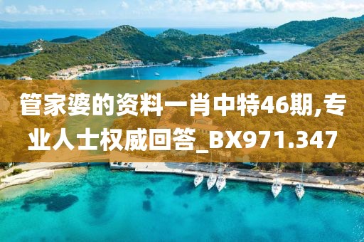 管家婆的资料一肖中特46期,专业人士权威回答_BX971.347