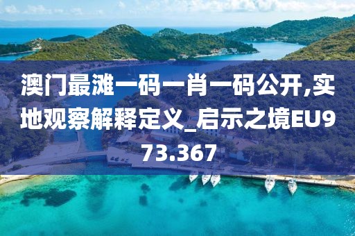 澳门最滩一码一肖一码公开,实地观察解释定义_启示之境EU973.367