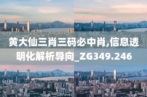 黄大仙三肖三码必中肖,信息透明化解析导向_ZG349.246