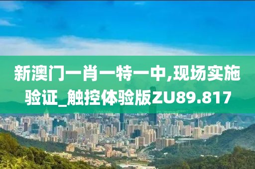 新澳门一肖一特一中,现场实施验证_触控体验版ZU89.817