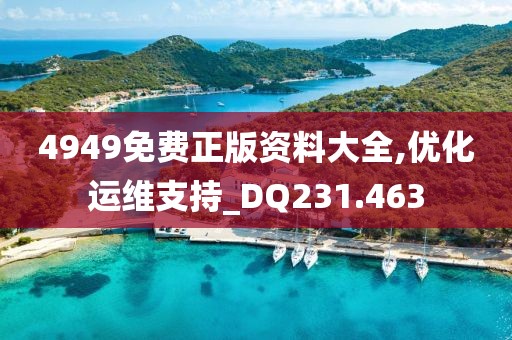 4949免费正版资料大全,优化运维支持_DQ231.463