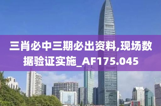 三肖必中三期必出资料,现场数据验证实施_AF175.045