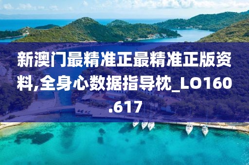 新澳门最精准正最精准正版资料,全身心数据指导枕_LO160.617