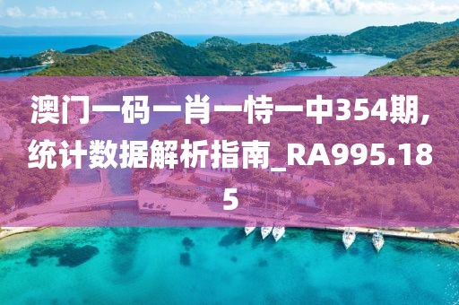 澳门一码一肖一恃一中354期,统计数据解析指南_RA995.185