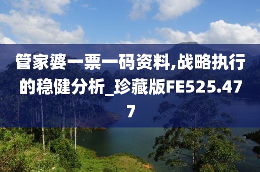 管家婆一票一码资料,战略执行的稳健分析_珍藏版FE525.477