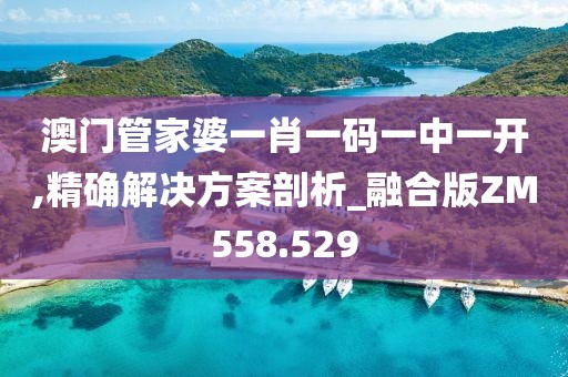 澳门管家婆一肖一码一中一开,精确解决方案剖析_融合版ZM558.529