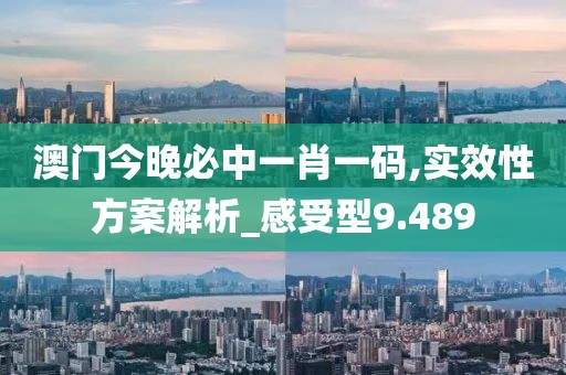 澳门今晚必中一肖一码,实效性方案解析_感受型9.489