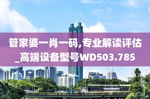 管家婆一肖一码,专业解读评估_高端设备型号WD503.785