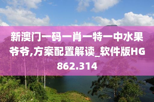 新澳门一码一肖一特一中水果爷爷,方案配置解读_软件版HG862.314