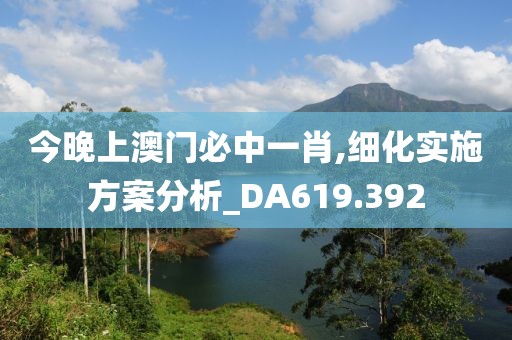 今晚上澳门必中一肖,细化实施方案分析_DA619.392