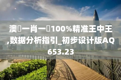 澳門一肖一碼100%精准王中王,数据分析指引_初步设计版AQ653.23