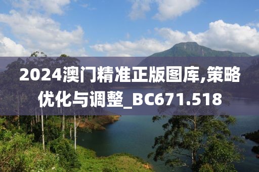 2024澳门精准正版图库,策略优化与调整_BC671.518