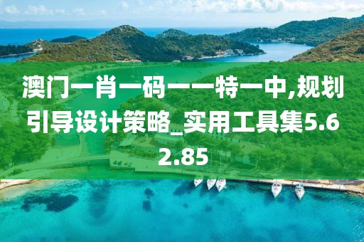 澳门一肖一码一一特一中,规划引导设计策略_实用工具集5.62.85