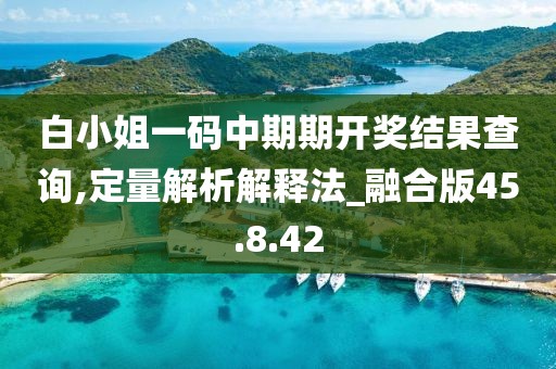 白小姐一码中期期开奖结果查询,定量解析解释法_融合版45.8.42