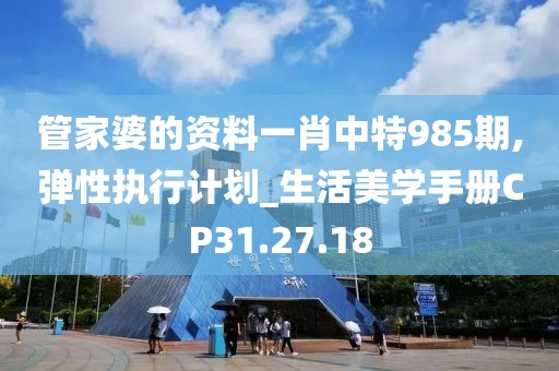 管家婆的资料一肖中特985期,弹性执行计划_生活美学手册CP31.27.18