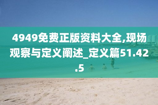 4949免费正版资料大全,现场观察与定义阐述_定义篇51.42.5