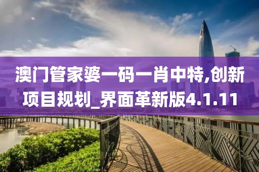 澳门管家婆一码一肖中特,创新项目规划_界面革新版4.1.11