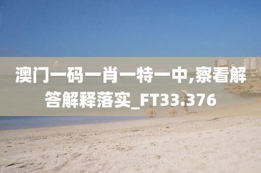 澳门一码一肖一特一中,察看解答解释落实_FT33.376
