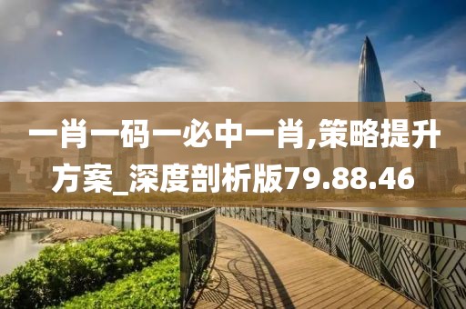 一肖一码一必中一肖,策略提升方案_深度剖析版79.88.46