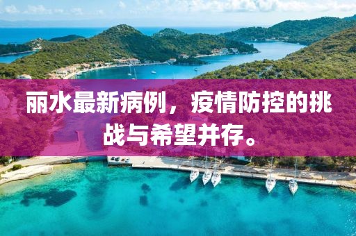 丽水最新病例，疫情防控的挑战与希望并存。