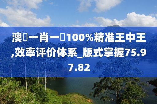 澳門一肖一碼100%精准王中王,效率评价体系_版式掌握75.97.82