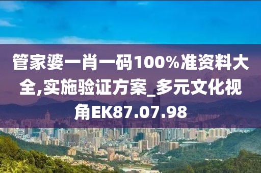 管家婆一肖一码100%准资料大全,实施验证方案_多元文化视角EK87.07.98