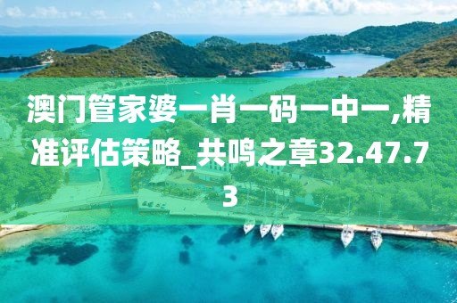 澳门管家婆一肖一码一中一,精准评估策略_共鸣之章32.47.73