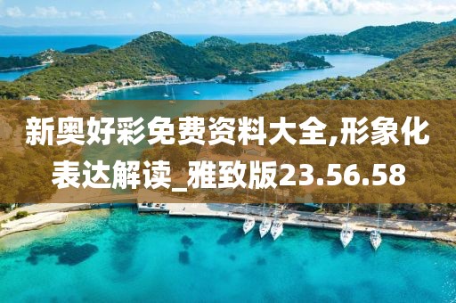 新奥好彩免费资料大全,形象化表达解读_雅致版23.56.58