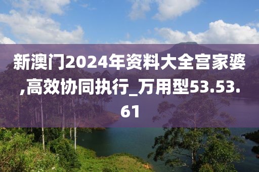 新澳门2024年资料大全宫家婆,高效协同执行_万用型53.53.61