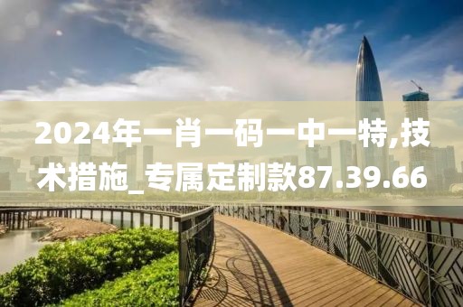 2024年一肖一码一中一特,技术措施_专属定制款87.39.66