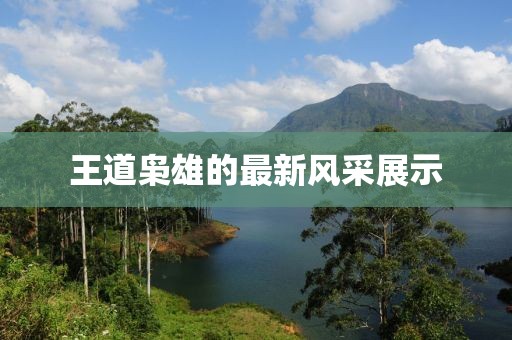王道枭雄的最新风采展示