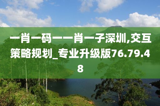 一肖一码一一肖一子深圳,交互策略规划_专业升级版76.79.48