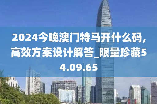 2024今晚澳门特马开什么码,高效方案设计解答_限量珍藏54.09.65