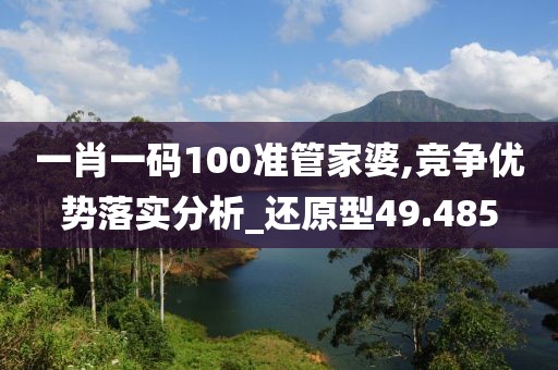 一肖一码100准管家婆,竞争优势落实分析_还原型49.485