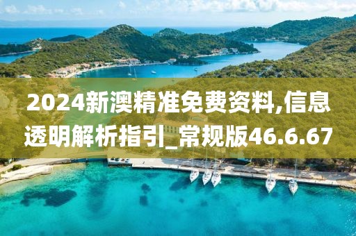 2024新澳精准免费资料,信息透明解析指引_常规版46.6.67