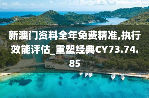 新澳门资料全年免费精准,执行效能评估_重塑经典CY73.74.85