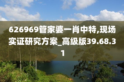 626969管家婆一肖中特,现场实证研究方案_高级版39.68.31
