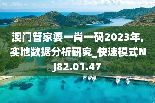 澳门管家婆一肖一码2023年,实地数据分析研究_快速模式NJ82.01.47