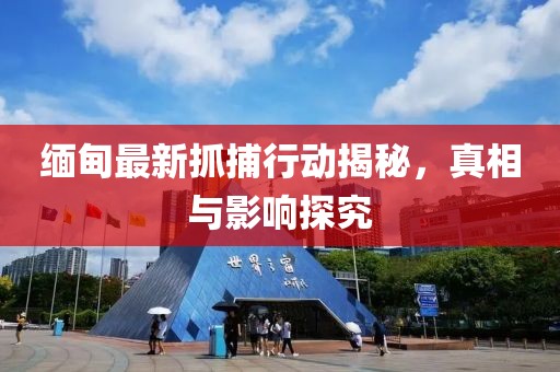 缅甸最新抓捕行动揭秘，真相与影响探究