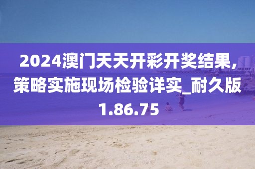 2024澳门天天开彩开奖结果,策略实施现场检验详实_耐久版1.86.75