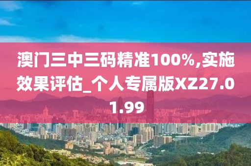 澳门三中三码精准100%,实施效果评估_个人专属版XZ27.01.99