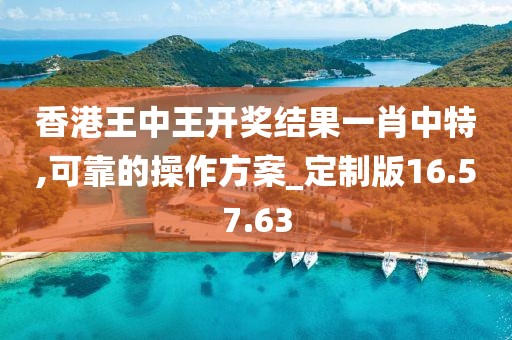 香港王中王开奖结果一肖中特,可靠的操作方案_定制版16.57.63
