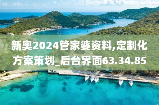 新奥2024管家婆资料,定制化方案策划_后台界面63.34.85