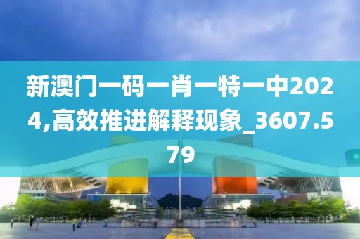 新澳门一码一肖一特一中2024,高效推进解释现象_3607.579