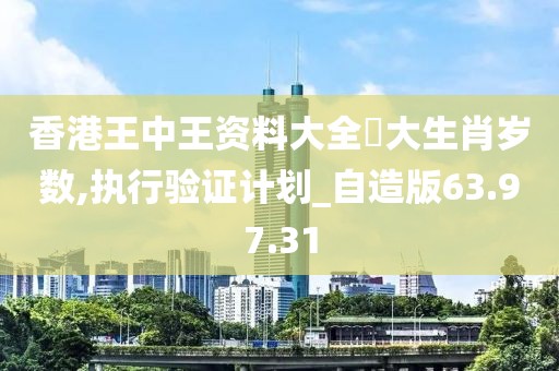 香港王中王资料大全枓大生肖岁数,执行验证计划_自造版63.97.31
