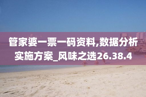 管家婆一票一码资料,数据分析实施方案_风味之选26.38.4