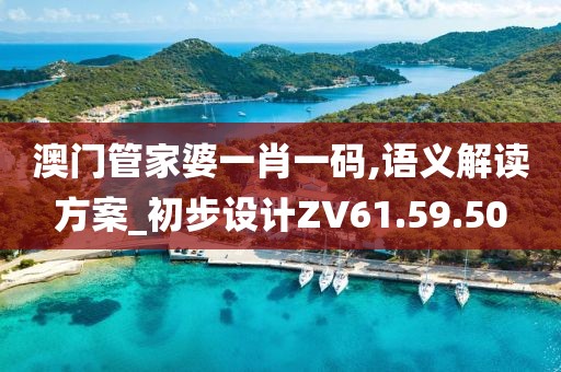 澳门管家婆一肖一码,语义解读方案_初步设计ZV61.59.50