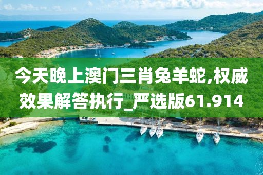 今天晚上澳门三肖兔羊蛇,权威效果解答执行_严选版61.914