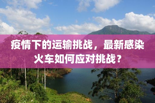 疫情下的运输挑战，最新感染火车如何应对挑战？